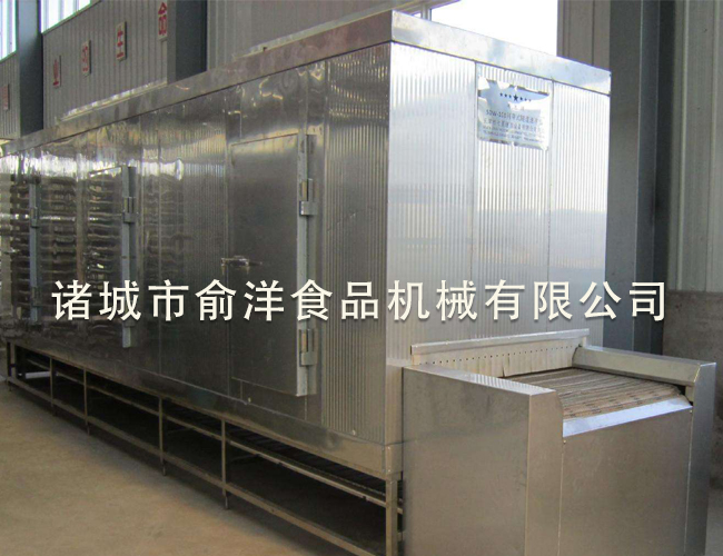 蔬菜隧道式速冻机