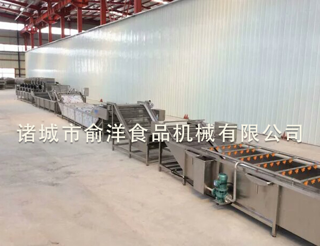 蔬菜清洗风干流水线