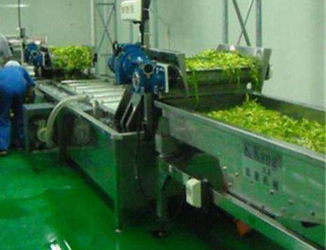 叶菜类脱水深加工流水线