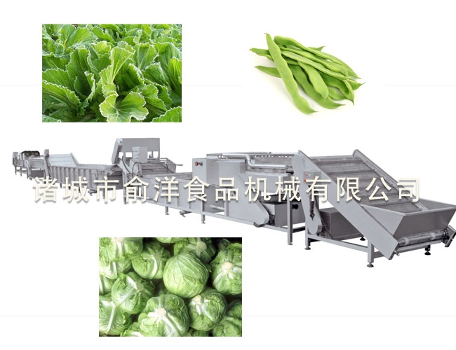 叶菜类脱水深加工流水线