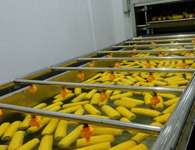 玉米加工流水线