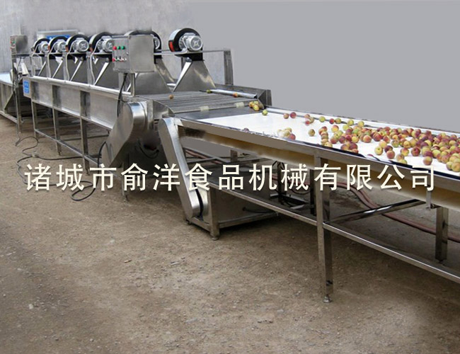 清洗风干流水线