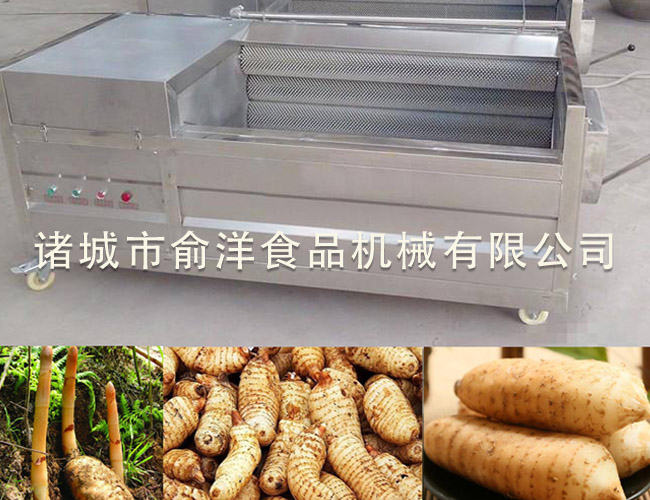 天麻毛辊清洗去皮机
