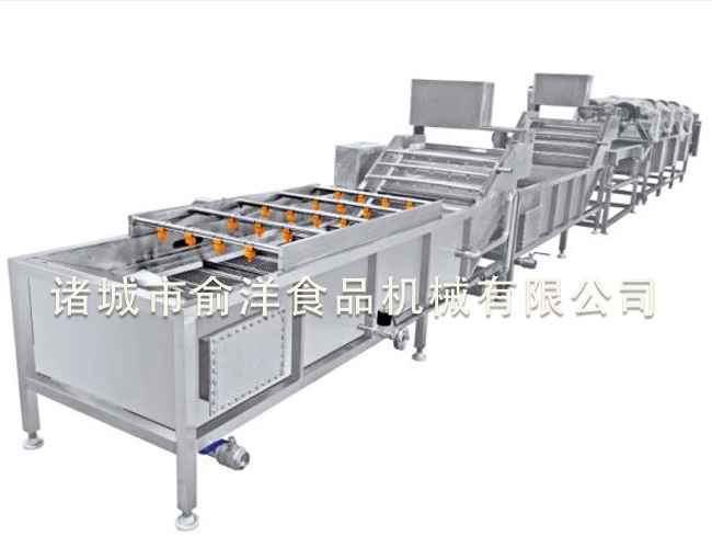 大枣/草莓清洗风干流水线