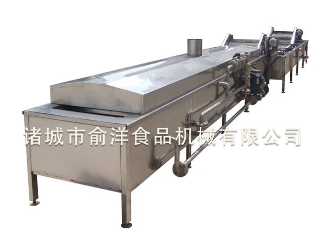 蔬菜(预煮)漂烫杀青流水线