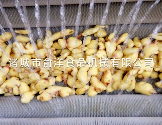 大姜清洗机