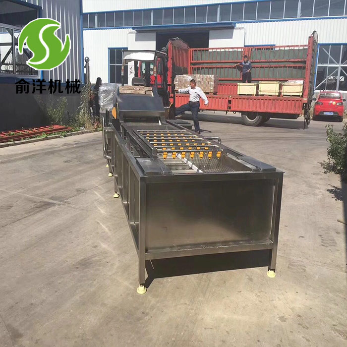 四季豆气泡清洗机